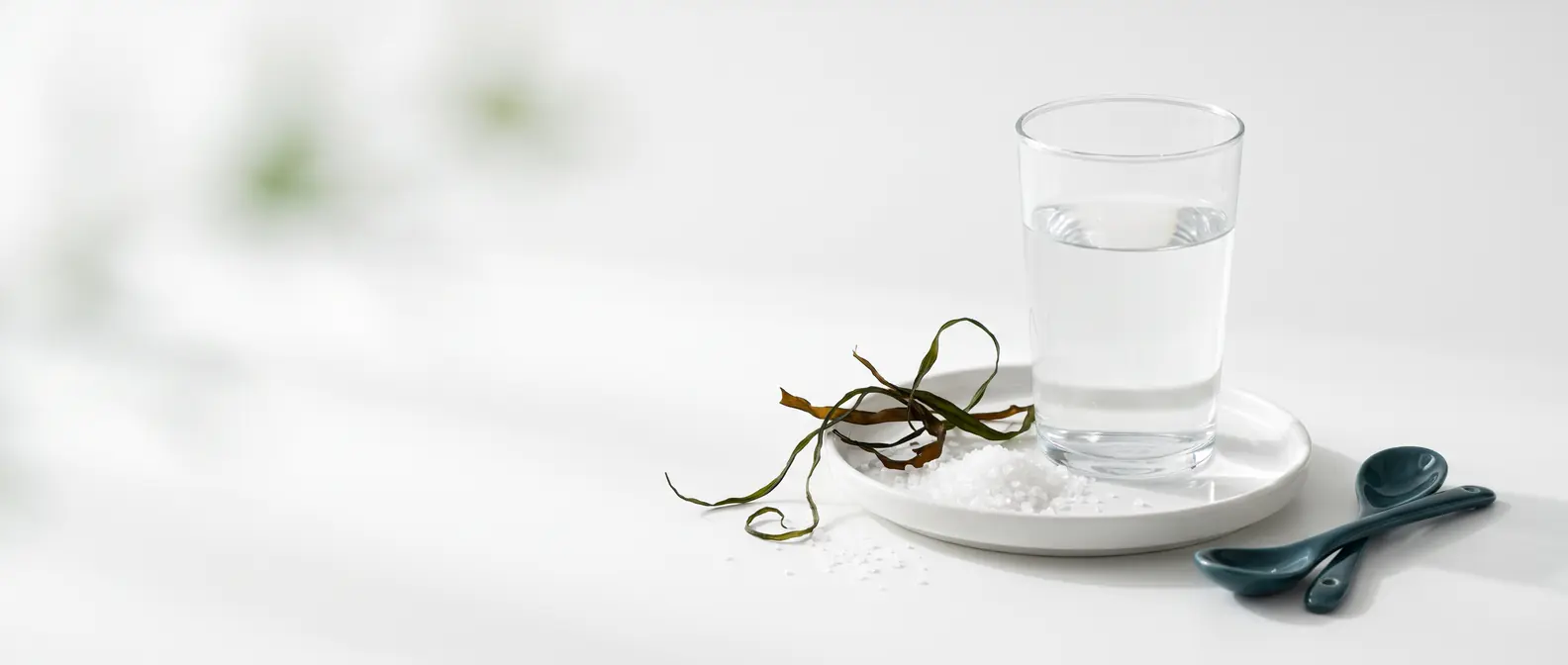 Kleine weiße Schale mit feinen Salzkristallen, getrocknetem Seetang und einem Glas Wasser auf weißem Untergrund — Jodversorgung unter GLP-1