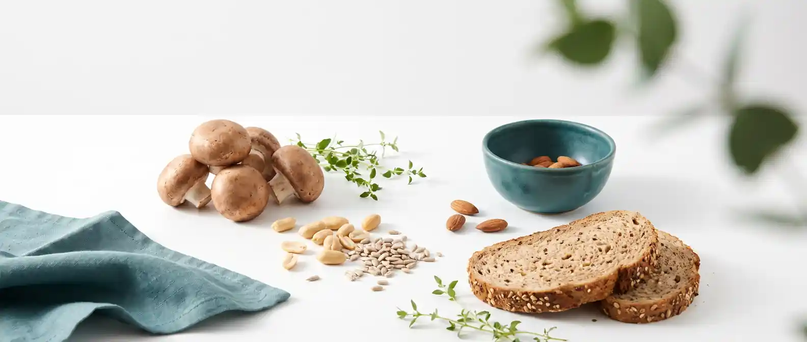 Niacinreiche Lebensmittel wie Pilze, Erdnüsse, Vollkornbrot und Sonnenblumenkerne auf hellem Untergrund — Vitamin B3 unter GLP-1